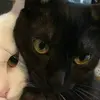 𝑂'𝑐𝑜𝑛𝑛𝑒𝑙𝑙 - @vicky.oconnell - TikTok