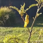 Vicki Cooney - Facebook