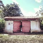 Vickie Cooney - @pufftwe1veparty - Instagram