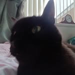 Vicky Cooper - @vickycooper400 - Instagram
