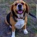 Vicki Copeland - Facebook