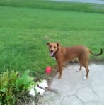Vicky Coppage - Facebook