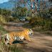 M Vicky Corbett - Facebook