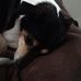Vicki Corbett - Facebook