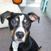 Vicky Corbett - Facebook