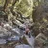 Vicky Cornejo - @vicky.cornejo8 - TikTok