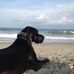 Vicky Correll - Facebook