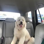 Vicky Cortina - @doodle.love.house - Instagram