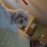 Vicky Couch - @vicky.couch.167 - Instagram