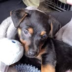 Vicky Coulson - Facebook