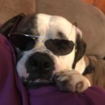 Vicki Covington - @vikkilyn2007 - Instagram