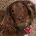 Vicky Cox - Facebook