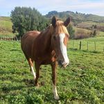 vicky cox - @toscaadventures - Instagram