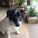 Vicky Craven - @vicky.craven.902 - Instagram
