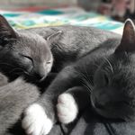 Vicky Craven - @mummyslittlemonsters - Instagram