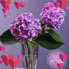 vickycreech - @vickycreech - TikTok