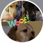 Vicki Crook - @patpagelswilke - Instagram