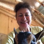 Vicki Crosby Rhodes - @vicki.crosby.rhodes - Instagram