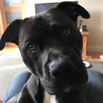 Vicky Crossley - @v_crossley - Instagram