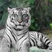 Vicky Crouch Robak - Facebook