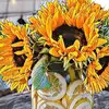 Vicki Crowe - @vicki.crowe2 - TikTok
