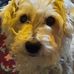 Vicky Crumpton - Facebook