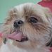 Vicky Currier - Facebook