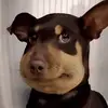 victoria.currier - @vicky_currier - TikTok
