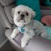 Vicky Dale - Facebook