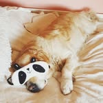 Vicky Dalton - @victoriadltn - Instagram