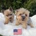 Vicki Damico - Facebook