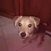 Vicky d'Amico - @victoriad89 - TikTok