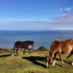 Vicky Darby-Brown - @tori_dar_b_y_brown - Instagram