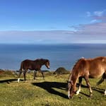 Vicky Darby-Brown - @to.ri_darby__brown - Instagram