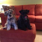 Vicki Daugherty - @vvdaugherty - Instagram
