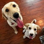 Vicki Daugherty - @daughevl - Instagram
