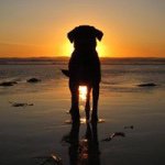 Vicki Daugherty - @vicnrd - Instagram