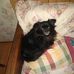 Vicki Davidson - Facebook