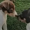 Vicki Davidson - @vicki.davidson2 - TikTok