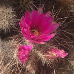 Vicky Davidson - @vicky.davidson.12139 - Instagram