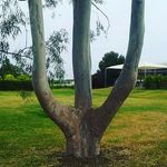 vicky davidson - @davidson1831 - Instagram
