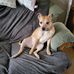 Vicky Davies - Facebook