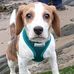 Vicky Davies - Facebook