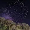 Vicky Davies - @vicky.davies1 - TikTok