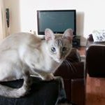 Vicky Davison - @vickydavison1 - Instagram