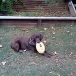 Vicky Deal - @vicky.deal - Instagram