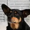 Vickie Delaney - @vickie.delaney - TikTok