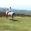 Vicky Dennison295 - @vickydennison0 - TikTok