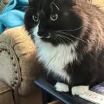 Vicky Denny Hadick - @victoriaj1 - Instagram