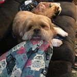 Vicky DeWitt - @dewittvicky - Instagram